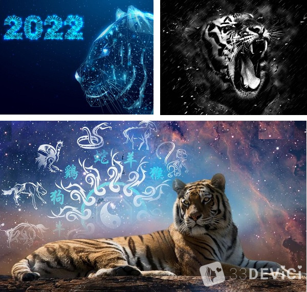 год тигра 2022 прогноз